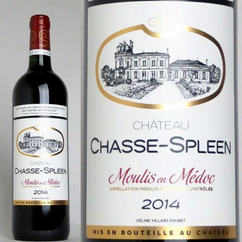 シャトー・シャス・スプリーン Chateau Chasse Spleen | ワイン