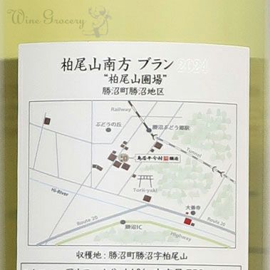 鳥居平今村 柏尾山南方 甲州ブラン 柏尾山圃場 2024 | ワイングロッサリー