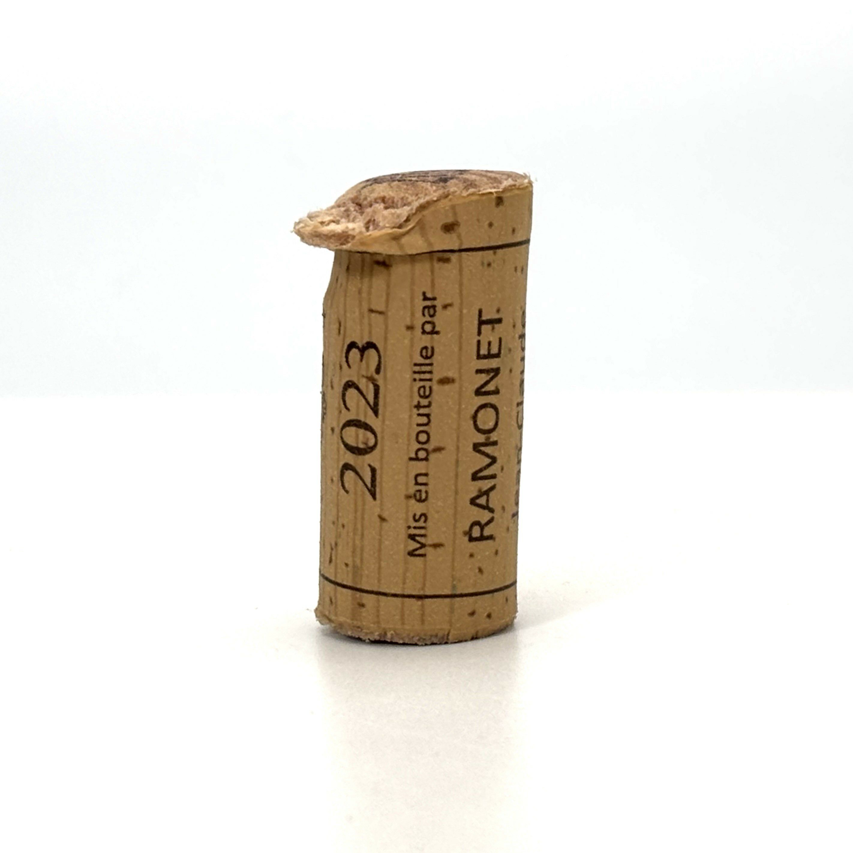 ラモネ ブルゴーニュ・パストゥグラン 2023 | ワイングロッサリー