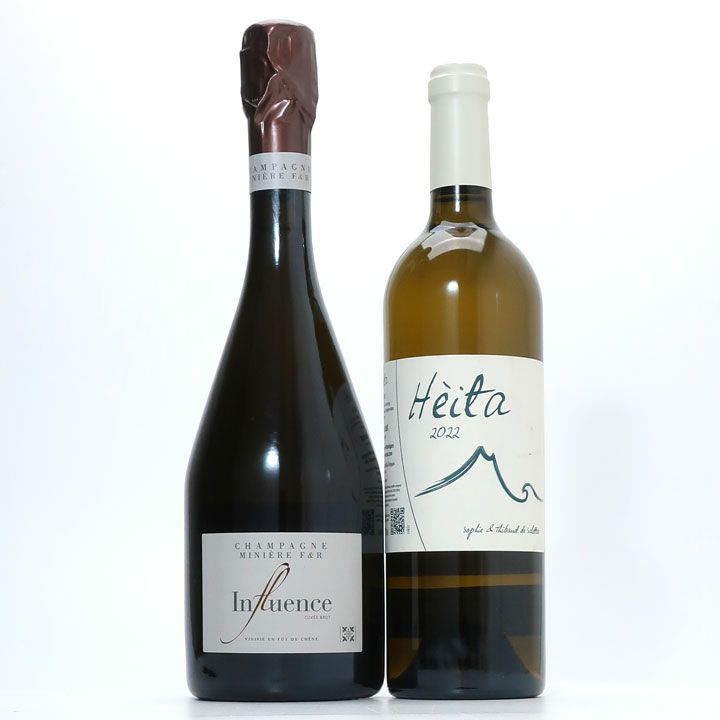 アンリ＝エドモン・クロス、NATURE 寒い MORTE、海外版超希少レゾネ  