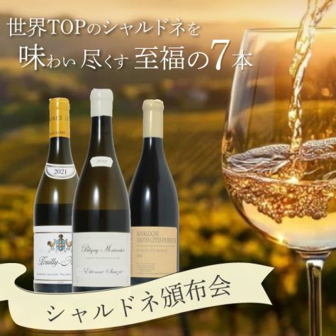 アントワーヌ・ルプティ・ド・ラ・ビーニュ ムルソー レ