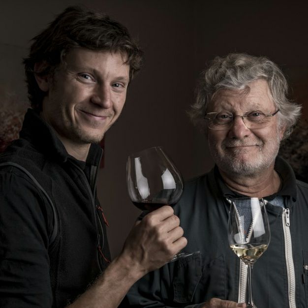 ルイ・マルクーシ、Violin、海外版超希少レゾネ、新品額付 Stingray SVX5 《Candy Apple Red》 | 【クロサワ楽器店オンライン