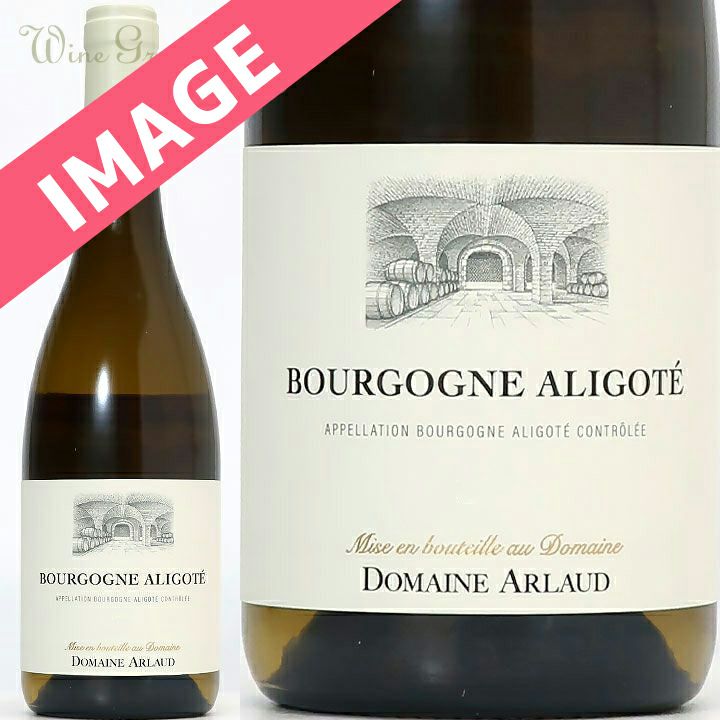 ドメーヌ・アルロー ブルゴーニュ・アリゴテ 2024 | ワイングロッサリー