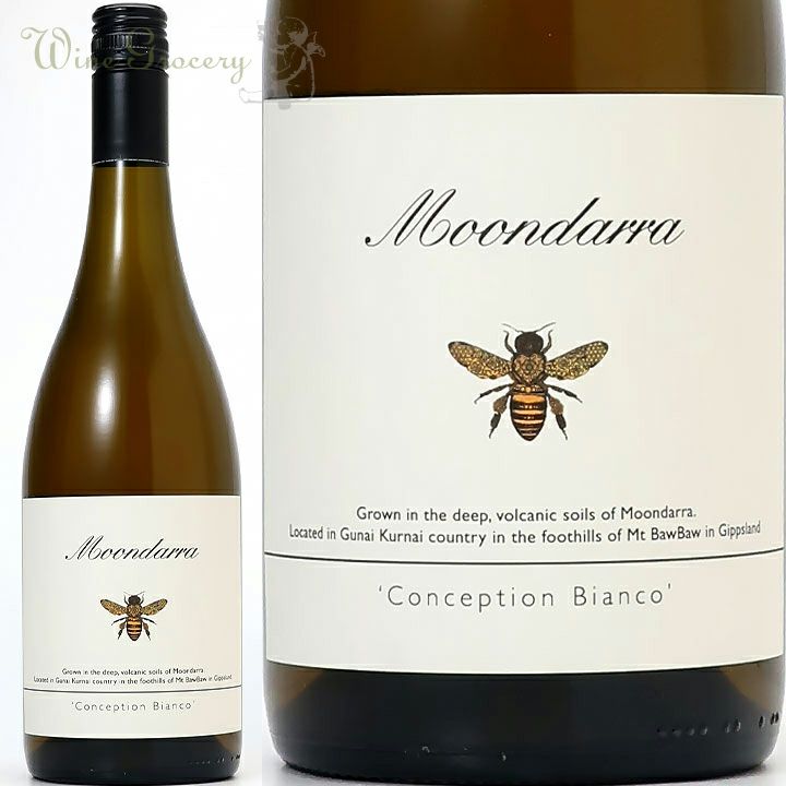 000000036844-01-m.jpg?t=